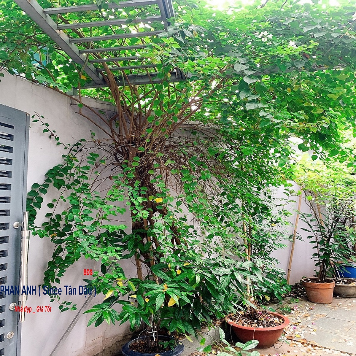 🏠 Siêu Phẩm Nhà Mặt Phố Thủ Đức – Đường ô tô 12 m – Chỉ có 12 Tỷ! 🏠 - Ảnh 4